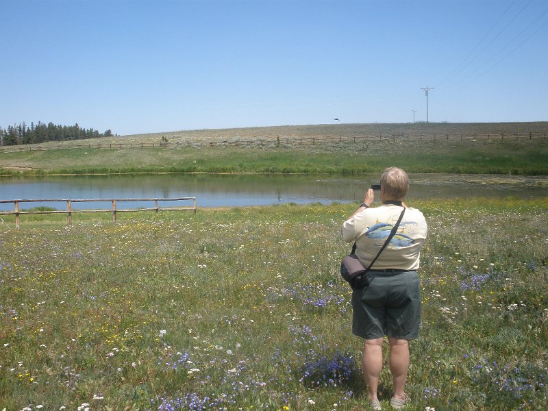 Trip (210).JPG - Ken taking video in the meadow at Bear Lake Lodge, Wyoming